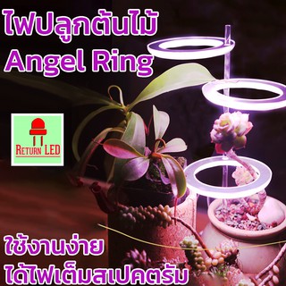 .🔥ส่งเร็ว สินค้าอยู่ไทย 🔥ไฟปลูกผัก หลอดไฟปลูกต้นไม้ Angel Ring  ไฟปลูกพืช ไลทอป แคคตัส ไฟเลี้ยงต้นไม้ LED Grow light