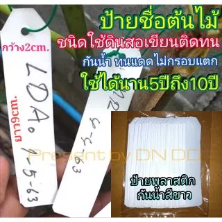 ป้ายชื่อต้นไม้กันน้ำ👍📌ชนิดใช้ดินสอเขียนติดง่าย ติดทนทน(📌💥ป้ายพลาสติกอ่อน)⭐ใช้งานได้นาน3ปีถึง10ปี⭐แพ็ค50ชิ้น,แพ็ค100ชิ้น⭐