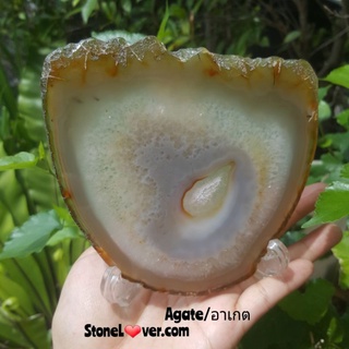 #Agate #แผ่นอาเกต #โมรา