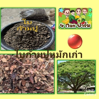 ใบก้ามปูเก่าหมัก ใบจามจุรีหมักเก่า ใบฉำฉาหมักเก่า ถุง  ล่ะ 500 กรัม