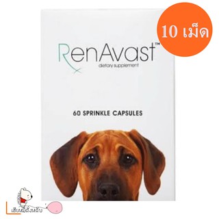 RenAvast dog อาหารเสริม บำรุงไตสุนัข แบ่งขาย 10เม็ด