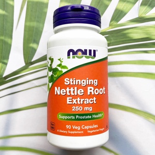 สารสกัดจากรากตำแย Stinging Nettle Root Extract 250 mg 90 Veg Capsules (Now Foods®)