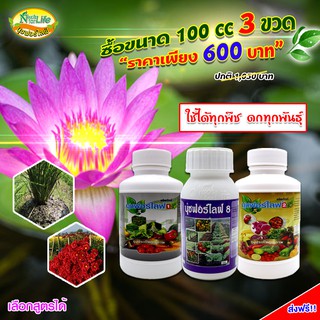 นุชฟอร์ไลฟ์ 1+2+8 ขนาด 100cc /อาหารเสริมพืช/ปุ๋ยน้ำ/ฮอร์โมน ผลิตภัณฑ์เกษตร อาหารเสริมพืชทางใบ