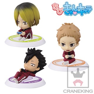 [ขายแยกชิ้น] Haikyuu!! Chibi Kyun Chara Gekouchuu Nekoma - Kuroo / Kenma / Yaku