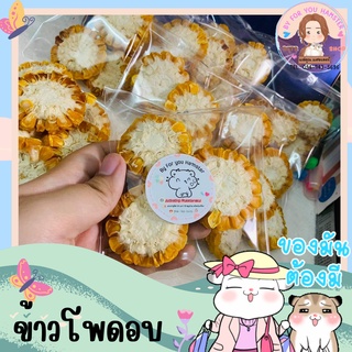 ข้าวโพดอบแห้ง สำหรับสัตว์ฟันแทะ❌ กรุณาสังขั้นต่ำ 50 บาท❌