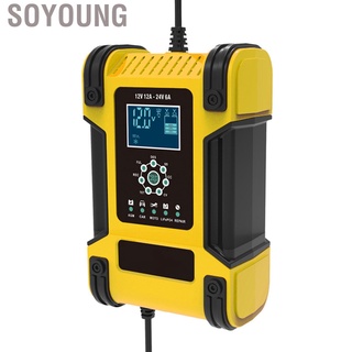 Soyoung Smart Battery Charger Plumbum Acid Automatic Maintainer Overcharge Protection for Car