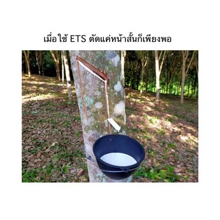 🔥 ETS รับประกันของแท้!! ฮอร์โมนขยายท่อน้ำยาง เพิ่มปริมาณน้ำยาง สำหรับชาวสวนยางพารา