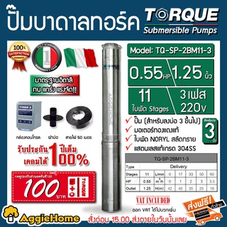 TORQUE ปั๊มบาดาล รุ่น TQ-SP-2BM11-3 (220V.) 1.25นิ้ว 0.55 HP11ใบ (สายไฟ 3x1 +ฝาบ่อ1.25นิ้ว+กล่องคอนโทรล) บาดาล