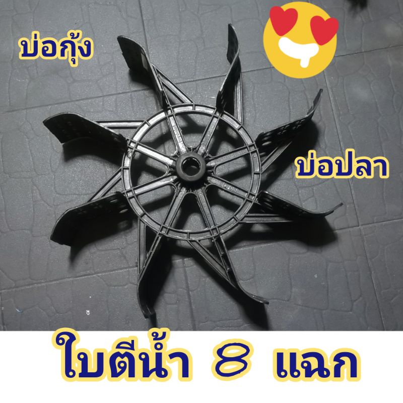 ใบกวักน้ำ8แฉกใบตีน้ำตีนกบใบเพิ่มออกซิเจน​ในน้ำใบพัดบ่อกุ้งบ่อปลา8แฉก​ บ่อกุ้ง​บ่อปลา