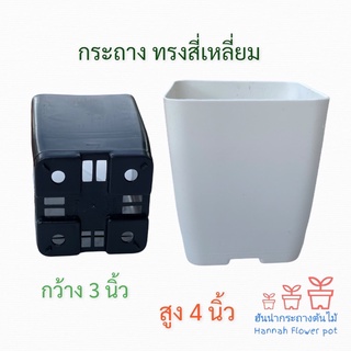 กระถางต้นไม้ 3 นิ้ว เซท 12 ใบ (สี่เหลี่ยม) กระถางต้นไม้พลาสติก กระถางแคนตัส สีขาว สีดำ