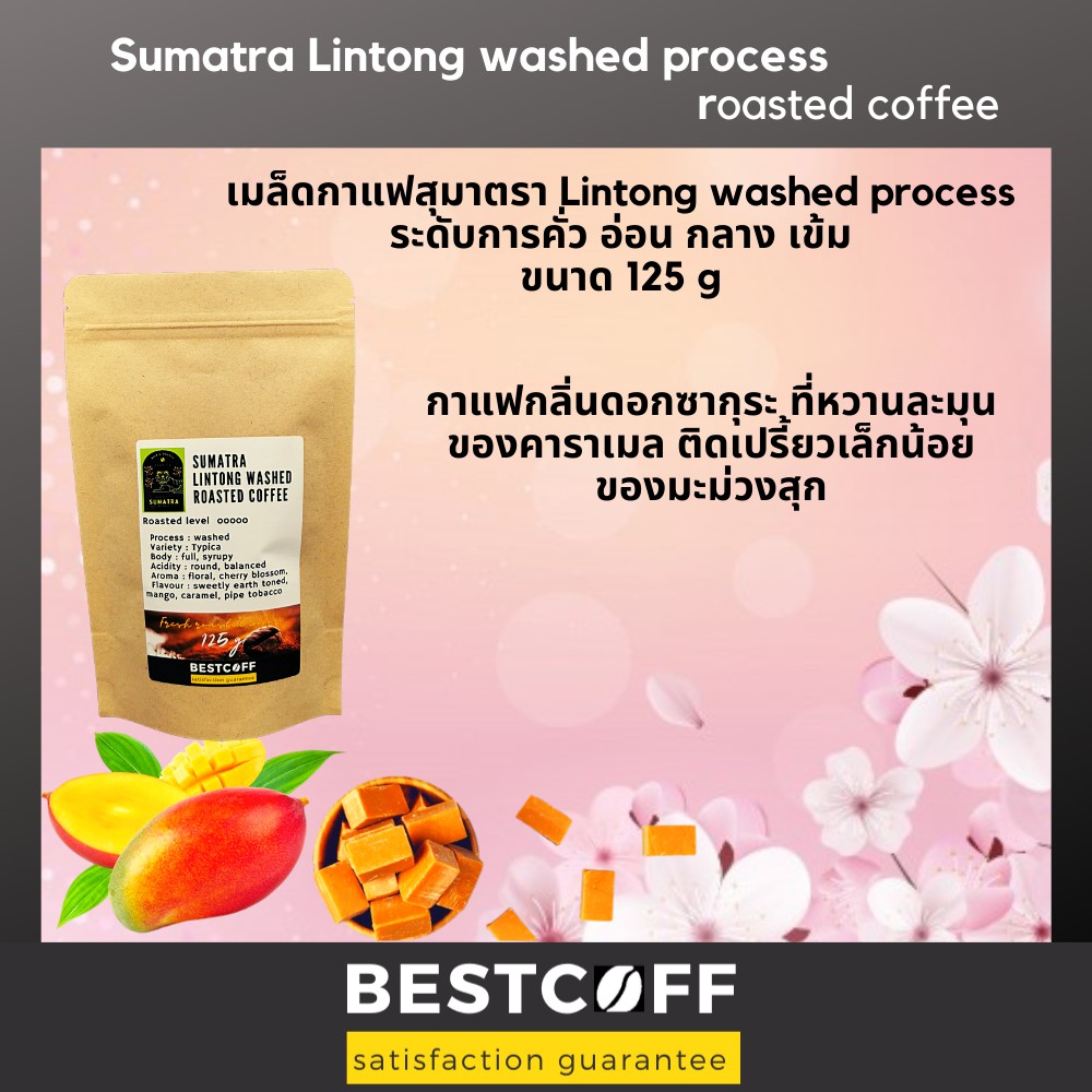 Bestcoff เมล็ดกาแฟอินโดนีเซีย สุมาตรา Indonesia Sumatra roasted coffee ขนาด 125 g