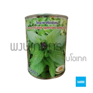 เมล็ดพันธุ์โหระพาคัดพิเศษ Thai sweet basil 40 กรัม เมล็ดพันธุ์ผัก เมล็ดพันธุ์พืช ผักสวนครัว พรรณไม้ พงษ์เกษตรอุตรดิตถ์