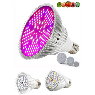 Hydro Phyto E27 โคมไฟ LED ฟูลสเปกตรัม สําหรับปลูกพืชในร่ม เรือนกระจก