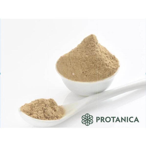Protanica ผงโปรตีนจิ้งหรีด Cricket Protein Powder thumbnail 6
