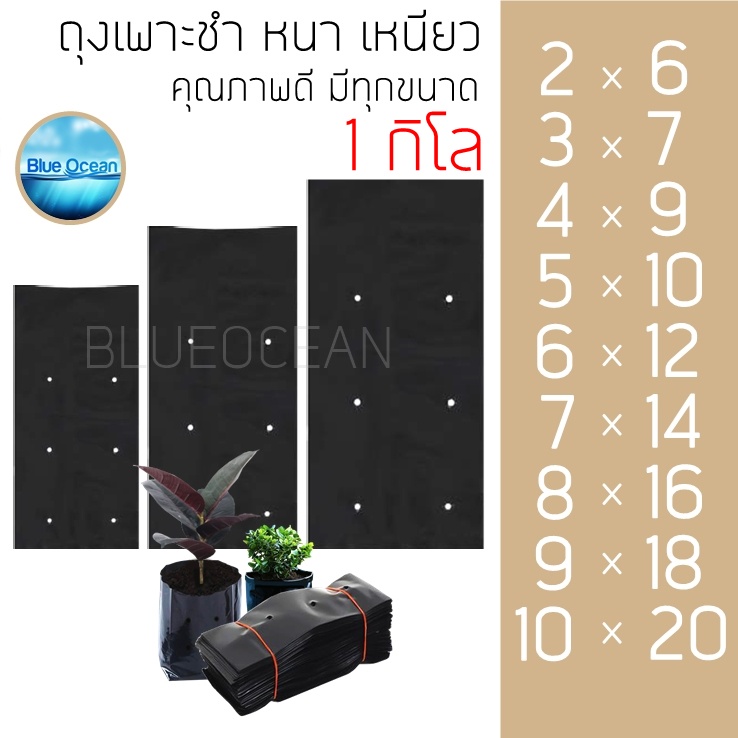 ถุงเพาะชำ เพาะกล้า สีดำ เจาะรู เพาะกล้าไม้ ถุงเพาะผัก มีหลายขนาด 1กิโล
