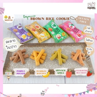 คุ้กกี้ข้าวกล้องออแกนิคผสมเนื้อผักธรรมชาติและผลไม้ฟรีชดรายแบรนด์  Begin - Organic Rice Cookie