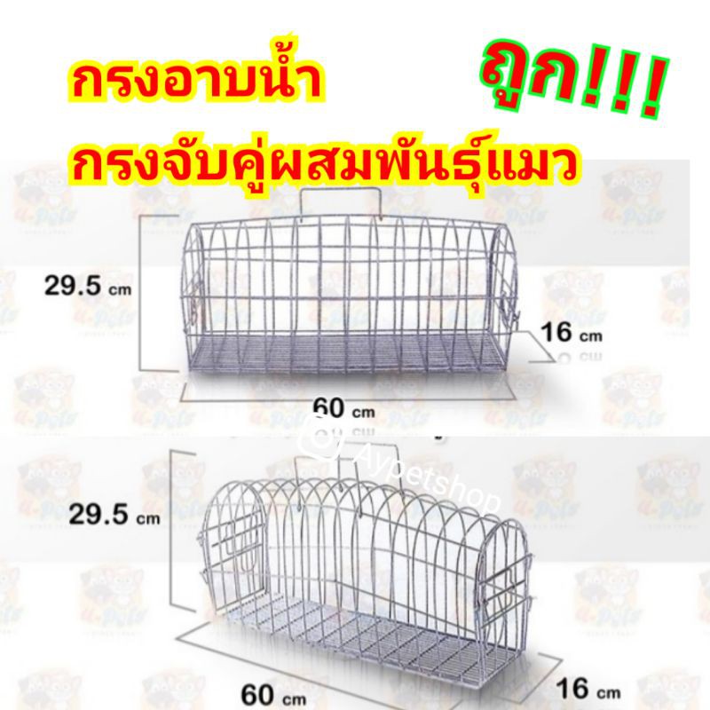 กรงอาบน้ำแมว กรงจับคู่แมวผสมพันธุ์
