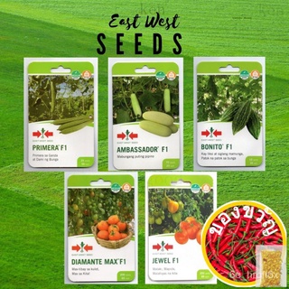 East West EASTWEST PATOLA - Primera PIPINO - Ambassador AMPALAYA -Bonito TOMATO - Diamante Max Jewel Vegetable Seedsเด็ก