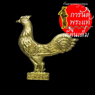 พญาไก่เถื่อน หลวงปู่เก่ง ธนวโร ทองฝาบาตร พิเศษ ตัวอย่าง