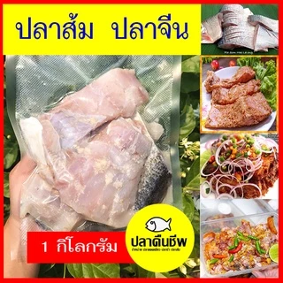 ปลาส้ม ปลาจีน หั่นชิ้น น้ำหนัก 1 กิโลกรัม