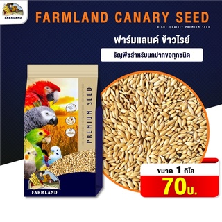 FarmLand Canary seed  อาหารนก (ถุง 1 kg)