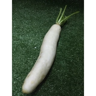 หัวไชเท้าสด ⬜ - หัวไชเท้าขาว ผักผลไม้