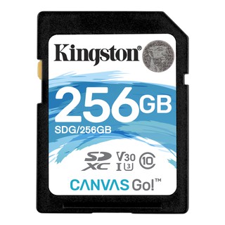 Kingston 256GB SD Card Canvas Go UHS-I SDXC (SDG/256GB)