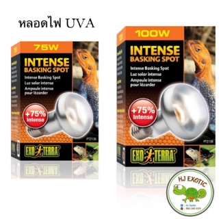 Exo terra หลอดไฟ UVA  สำหรับเต่า กิ้งก่า สัตว์เลื้อยคลาน