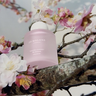 🌸 เปิดแบ่ง 🌸 Jo Malone Sakura Cherry Blossom