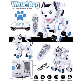 หมาไฮเทคบังคับได้เหมือนจริง #robotdog