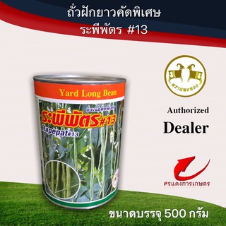 เมล็ดพันธุ์ ถั่วฝักยาวระพีพัตร#13 500g