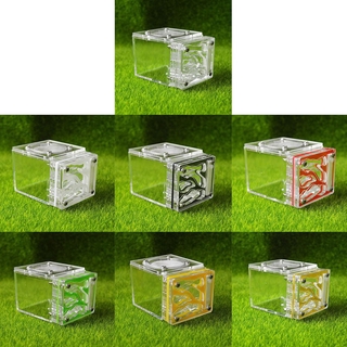 แผ่นรังมดอะคริลิคใสขนาดเล็กสําหรับรังสี Anthill Nest