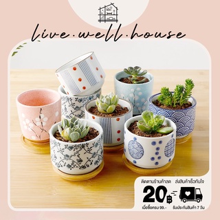 live.well.house | Plant pot กระถางต้นไม้ กระถางต้นไม้เซรามิกรูปถ้วยชา กระถางลายญี่ปุ่น พร้อมฐานไม้ พร้อมส่ง