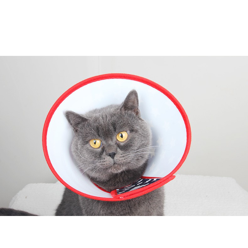 🐶 PSA 🐶 ปลอกคอ ปลอกคอกันเลีย กันกัด คอลล่าลำโพงกันกัด กัดเลีย สุนัขและแมว แบบใส