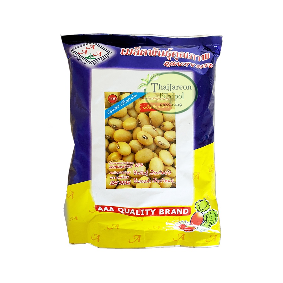 เมล็ดพันธุ์ เมล็ดถั่วเหลือง เชียงใหม่ 2 Soybean Seed เมล็ดถั่วเหลืองสามเอ  มีแบ่งขาย ปลูกถั่วหัวโตได้ - รูปที่ 2