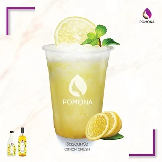 Pomona – Lemon Syrup โพโมนา ไซรัปเลมอน 1000 ml [ไซรัปพรีเมียม ผลิตจากประเทศเกาหลี]