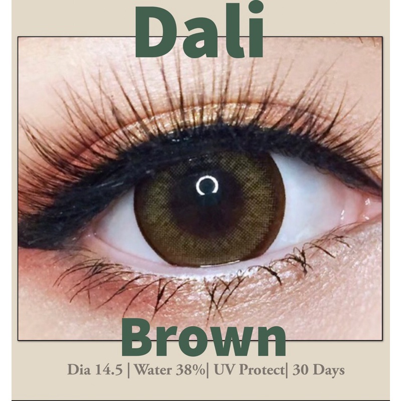 Wink : Dali ตาโต แบ๊ว บิ๊กอาย คอนแทคเลนส์