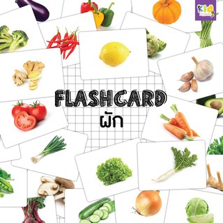 Flashcard Vegetableแฟลชการ์ดเรื่องผัก แฟลชการ์ดกระดาษ แฟลชการ์ดภาาาอังกฤษ-ไทย