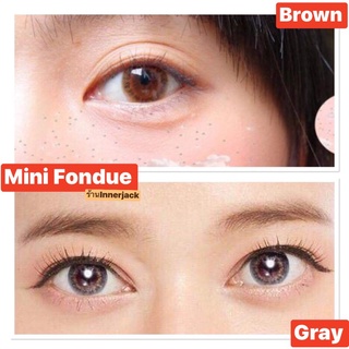 🌿Mini Fondue Brown/Gray🌿สายตาปกติ,-0.50,-0.75,-2.25,-3.25(kitty kawaii)