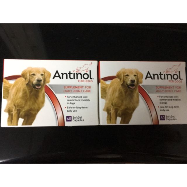 (ของแท้100%)​Antinol Dog อาหารเสริมสุนัข แอนทินอล  Exp: 08/2021