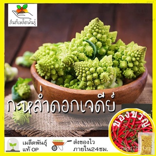 เมล็ดพันธุ์ กะหล่ำดอก เจดีย์ 100 เมล็ด Romanesco Broccoli seed เมล็ดพันธุ์แท้ นำเข้าจากต่างประเทศ ปลูกผัก สวนครัว ถูกดีM