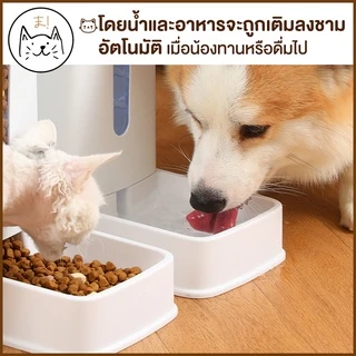 KUMAまเครื่องให้อาหารแมวอัตโนมัติ 3.5 ลิตร ที่ให้อาหารอัตโนมัติ เครื่องให้อาหาร สุนัข ชามข้าว ชามอาหาร หมา แมว อัตโนมัติ