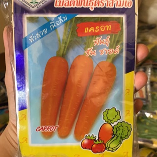 เมล็ดพันธ์ุแครอท ซันชายด์ ประมา2,800เมล็ด