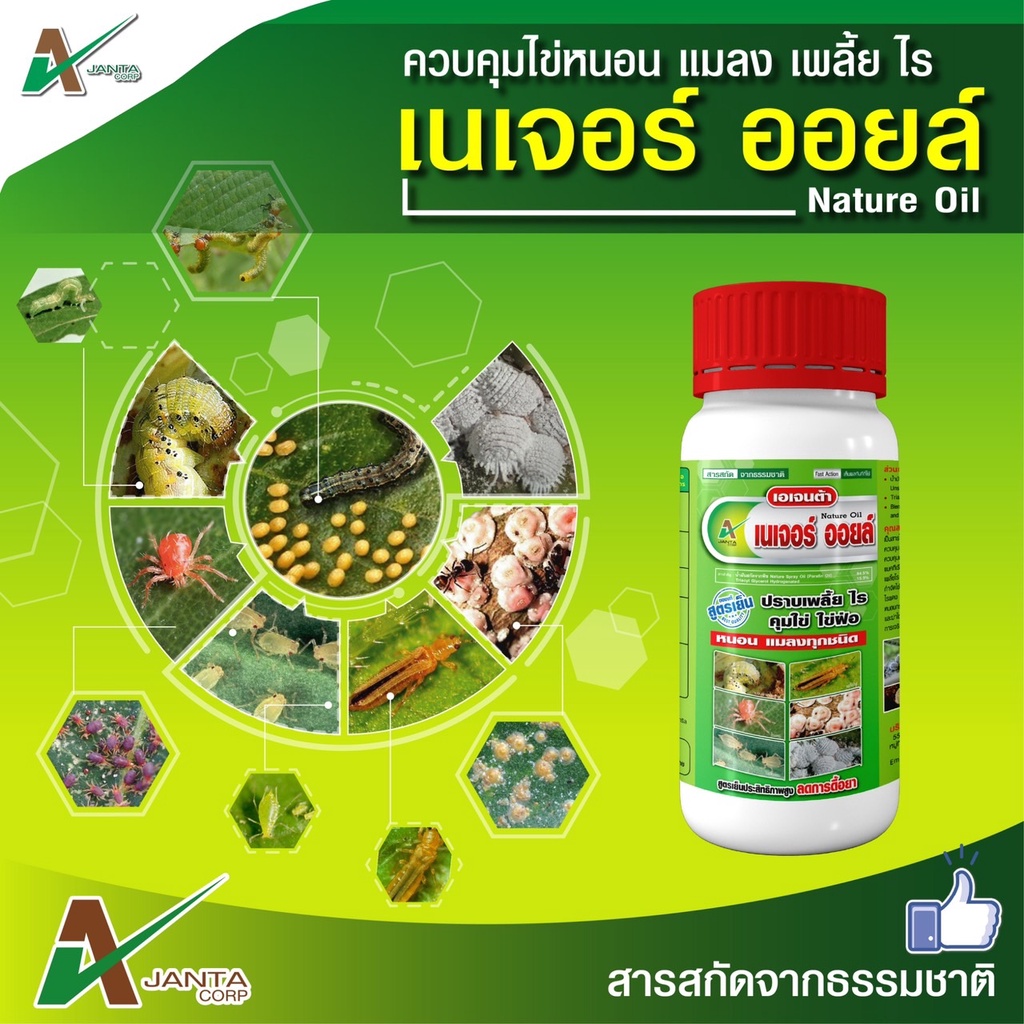 เนเจอร์ ออยล์ คุมไข่ ไวท์ออยล์ ควบคุมการระบาด หนอน แมลง เพลี้ยอ่อน เพลี้ยไฟ ไรทุกชนิด เอเจนต้า คอร์ป สูตรเย็น (1 ลิตร)