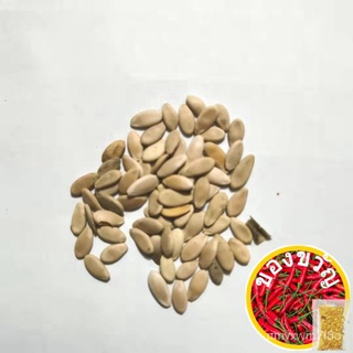 10pcs Japanese Cucumber Seeds vegetable seeds种子/男装/文胸/苹果/花园/儿童/上衣/香菜/裙子/鲜花/ OR2X