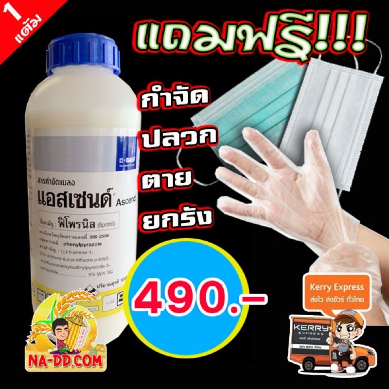My Image 48