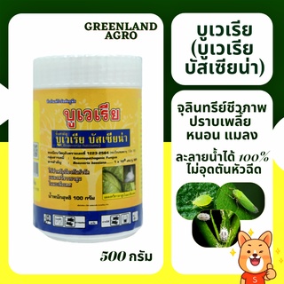 💥THAIGREENAGRO บูเวเรีย💥จุลินทรีย์ชีวภาพกำจัดเพลี้ยอ่อน เพลี้ยแป้ ยาฆ่าแมลง