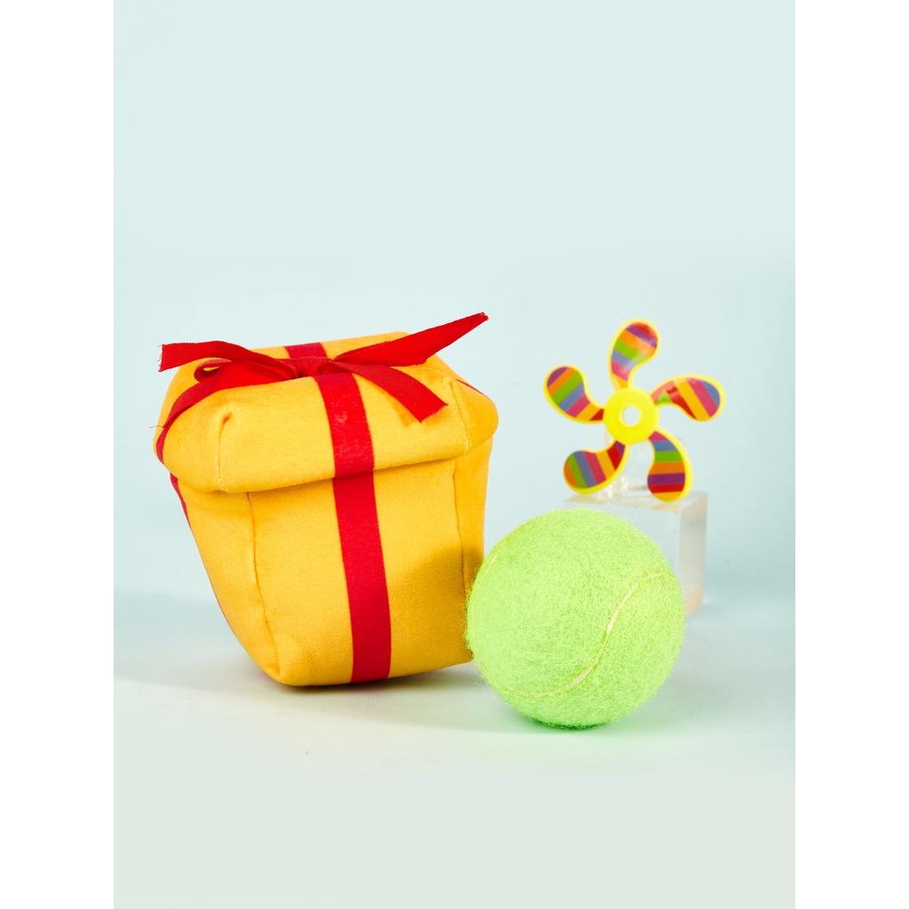 Surprise Me Box Pet Snuffle Toy