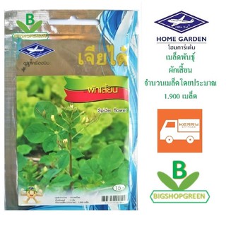 5 ฟรี 1 คละได้ เมล็ดพันธุ์ ผักเสี้ยน  ตรา  เจียไต๋ เมล็ดพันธุ์ผัก เมล็ดผัก เมล็ดพันธุ์พืช  เมล็ดพืช  เมล็ดพันธุ์