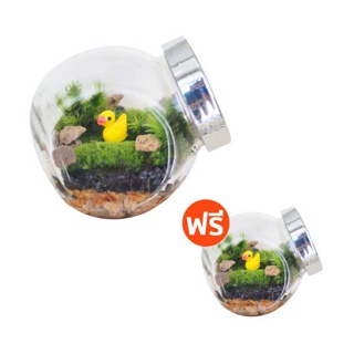 สวนขวด 1แถม1 [ 8S8HPJ7 ลด 50฿ ไม่มีขั้นต่ำ!!!] ชุด DIY Terrarium Set จัดสวนขวดง่ายๆ ดูแลง่าย ไม่ต้องรดน้ำ (ตุ๊กตาคละแบบ)